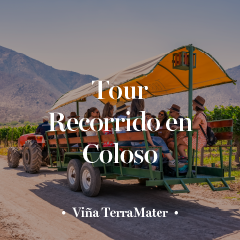 Accesorio_Tour Coloso